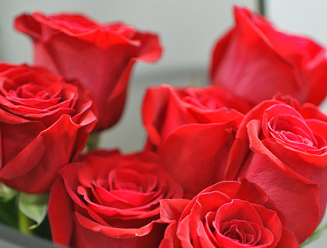 Букет из 7 красных роз премиум голландских  80-90 см Фото